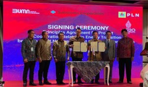 bumn5